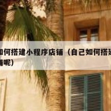 自己如何搭建小程序店铺（自己如何搭建小程序店铺呢）