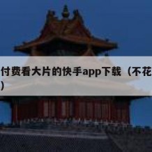 无需付费看大片的快手app下载（不花钱的快手）