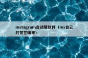 instagram自动赞软件（ins自己的赞在哪里）