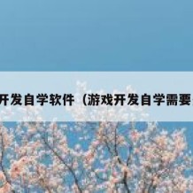 游戏开发自学软件（游戏开发自学需要多久）