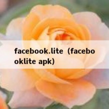 facebook.lite（facebooklite apk）