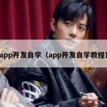 app开发自学（app开发自学教程）