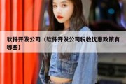 软件开发公司（软件开发公司税收优惠政策有哪些）