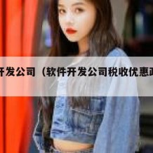软件开发公司（软件开发公司税收优惠政策有哪些）