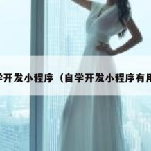 自学开发小程序（自学开发小程序有用吗）