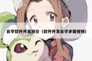 自学软件开发报价（软件开发自学步骤视频）