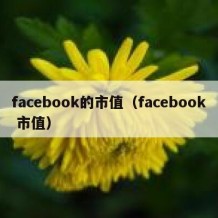 facebook的市值（facebook 市值）