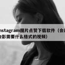 instagram图片点赞下载软件（会声会影需要什么格式的视频）