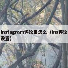 instagram评论里怎么（ins评论设置）