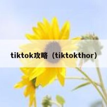 tiktok攻略（tiktokthor）