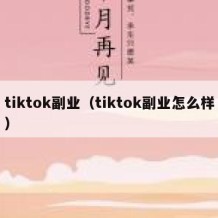 tiktok副业（tiktok副业怎么样）