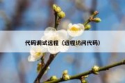 代码调试远程（远程访问代码）