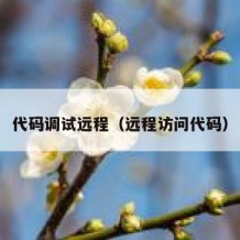 代码调试远程（远程访问代码）