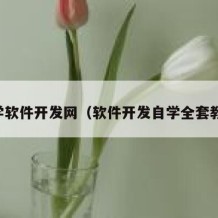 自学软件开发网（软件开发自学全套教程）