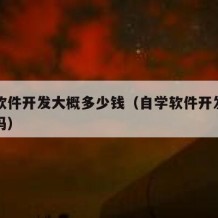 自学软件开发大概多少钱（自学软件开发好找工作吗）