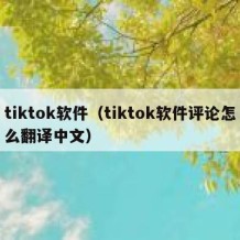 tiktok软件（tiktok软件评论怎么翻译中文）