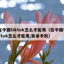 在中国tiktok怎么才能用（在中国tiktok怎么才能用,安卓手机）