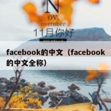 facebook的中文（facebook的中文全称）