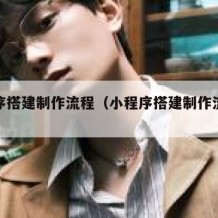 小程序搭建制作流程（小程序搭建制作流程怎么写）