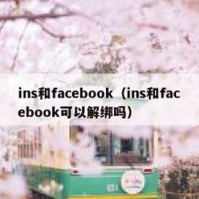 ins和facebook（ins和facebook可以解绑吗）