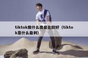 tiktok做什么类目比较好（tiktok靠什么盈利）