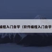 软件编程入门自学（软件编程入门自学书籍）