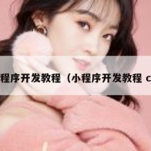 小程序开发教程（小程序开发教程 c#）