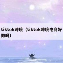 tiktok跨境（tiktok跨境电商好做吗）