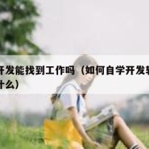 自学开发能找到工作吗（如何自学开发软件需要学什么）