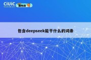 包含deepseek能干什么的词条