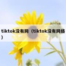 tiktok没有网（tiktok没有网络）