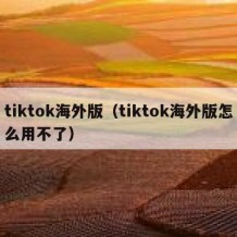 tiktok海外版（tiktok海外版怎么用不了）