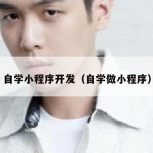 自学小程序开发（自学做小程序）