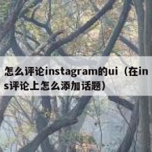 怎么评论instagram的ui（在ins评论上怎么添加话题）