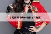 芯片开源（riscv架构芯片开源）