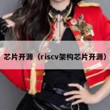 芯片开源（riscv架构芯片开源）