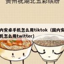 国内安卓手机怎么用tiktok（国内安卓手机怎么用twitter）