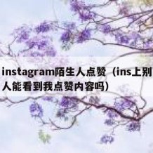 instagram陌生人点赞（ins上别人能看到我点赞内容吗）