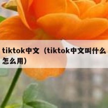 tiktok中文（tiktok中文叫什么怎么用）