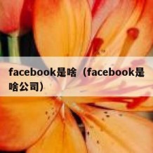 facebook是啥（facebook是啥公司）