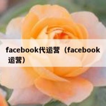 facebook代运营（facebook 运营）