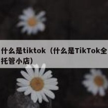 什么是tiktok（什么是TikTok全托管小店）