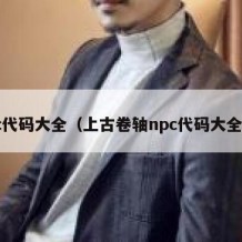 c代码大全（上古卷轴npc代码大全）