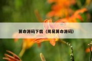 算命源码下载（周易算命源码）