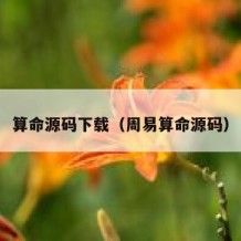 算命源码下载（周易算命源码）