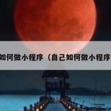 自己如何做小程序（自己如何做小程序平台）