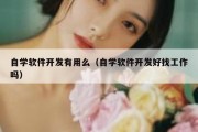 自学软件开发有用么（自学软件开发好找工作吗）