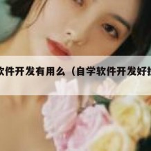 自学软件开发有用么（自学软件开发好找工作吗）