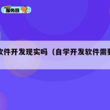 自学软件开发现实吗（自学开发软件需要多久）