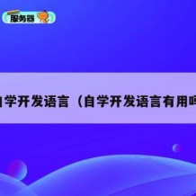 自学开发语言（自学开发语言有用吗）